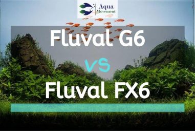 Fluval G6 vs Fluval FX6 Aquarium Filter Comparison